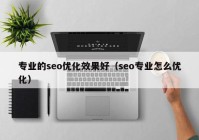 专业的seo优化效果好（seo专业怎么优化）